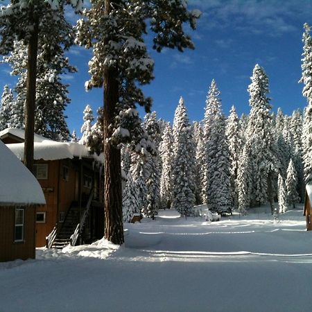 Montecito Sequoia Lodge Wilsonia Exterior foto