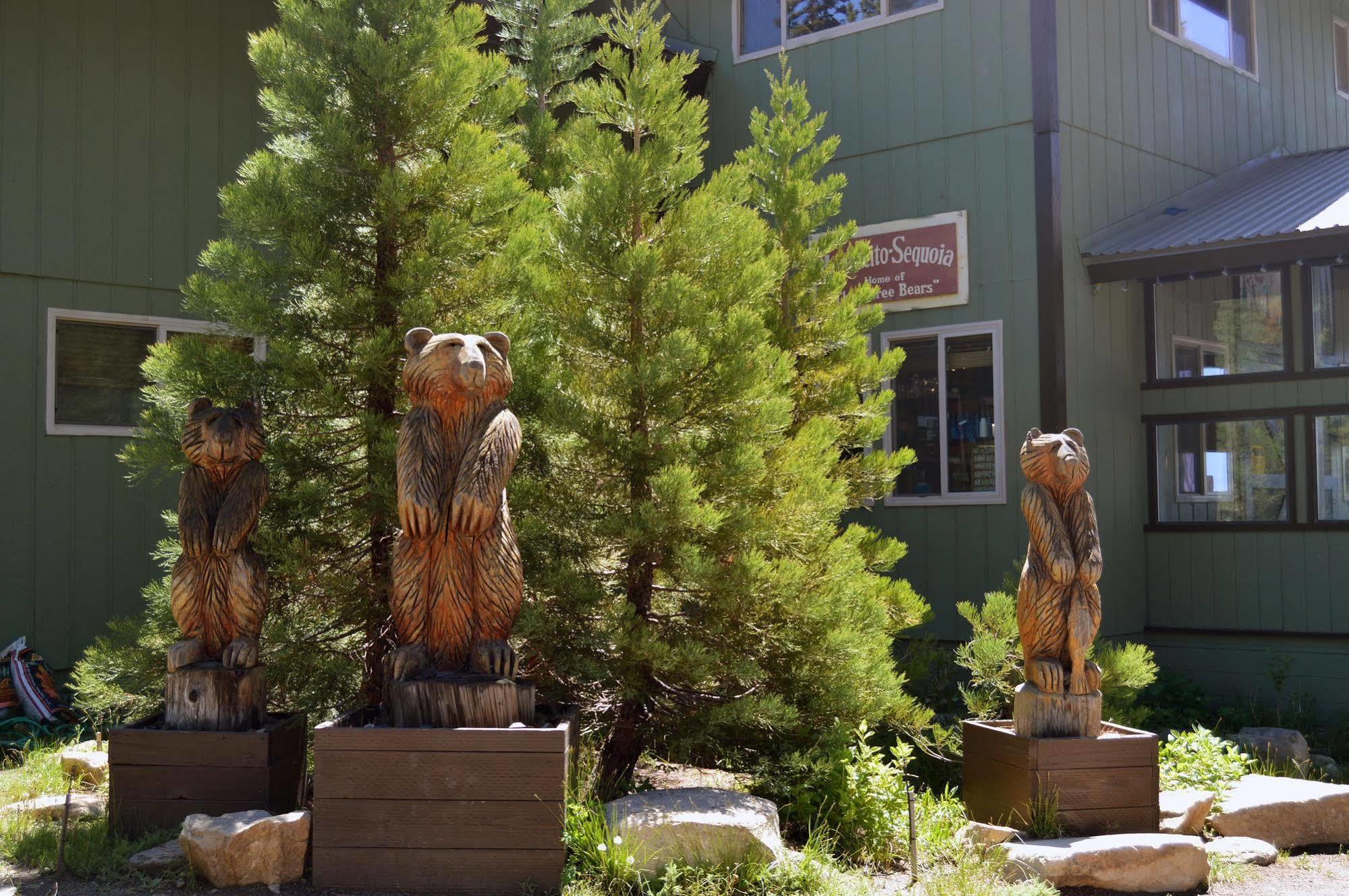Montecito Sequoia Lodge Wilsonia Exterior foto